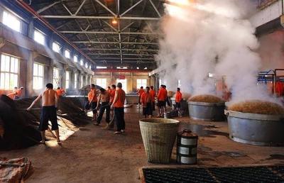 濃香型大曲酒 工藝鑄就的醇厚之魂